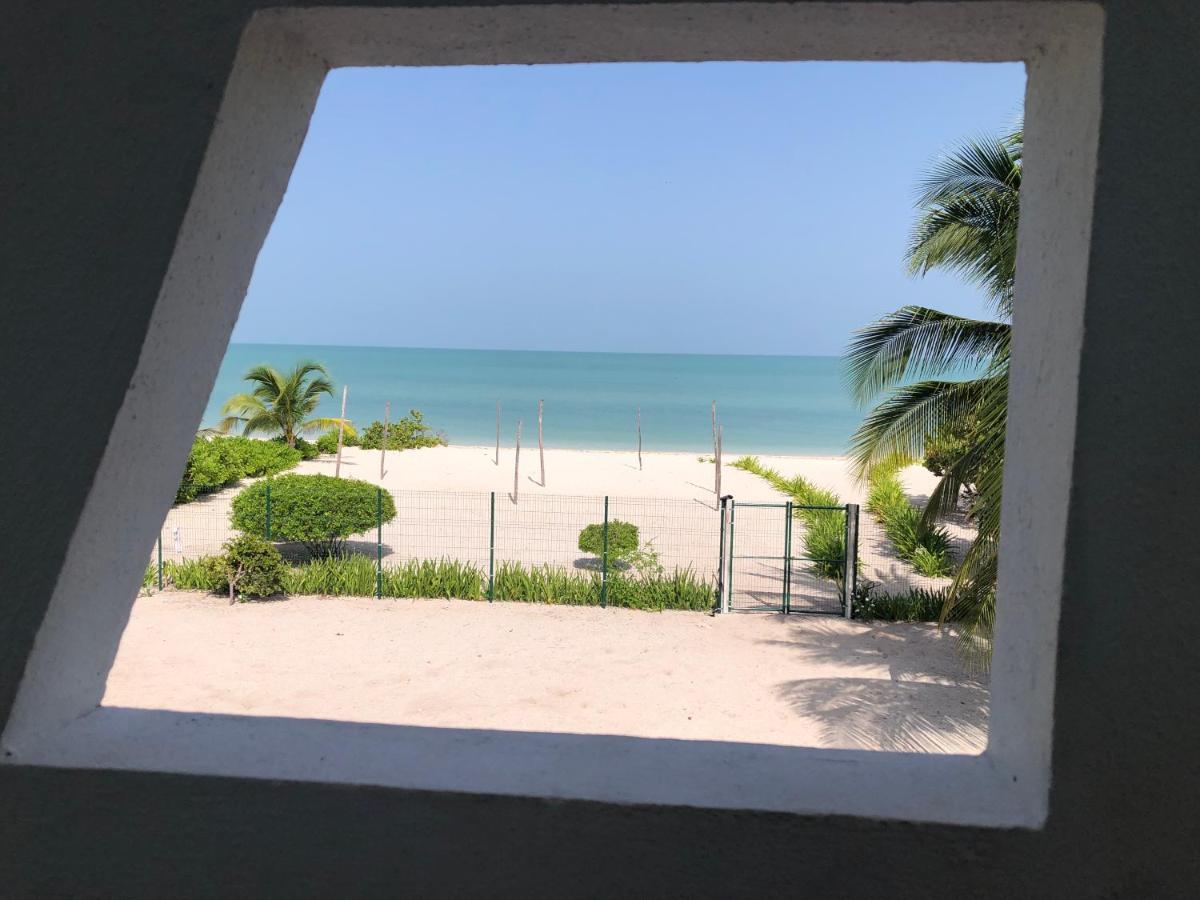 Playa 55 Beach Escape - Adults Only Guesthouse Celestun Exterior photo
